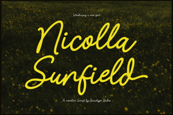 Nicolla Sunfield: A Font with a Rhythmic, Meadow-Fresh Soul