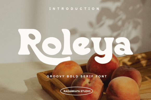Roleya Regular: The Groovy Serif for Bold, Modern Design